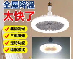照明風扇二合一